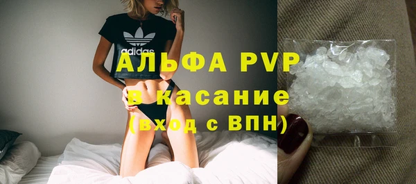 шишки Коряжма