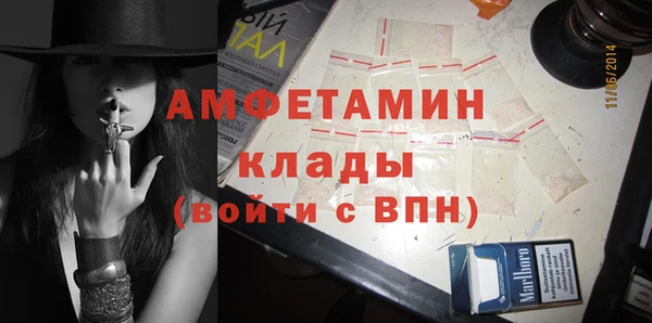 шишки Коряжма