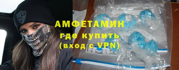 шишки Коряжма
