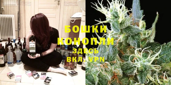 ПСИЛОЦИБИНОВЫЕ ГРИБЫ Корсаков