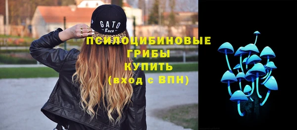 гидра Костерёво