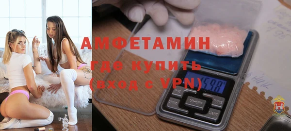 шишки Коряжма