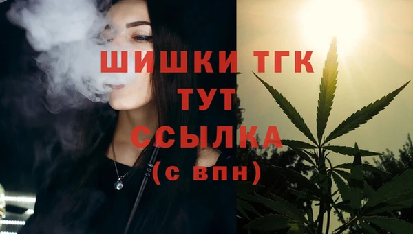 гидра Костерёво