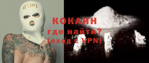 шишки Коряжма