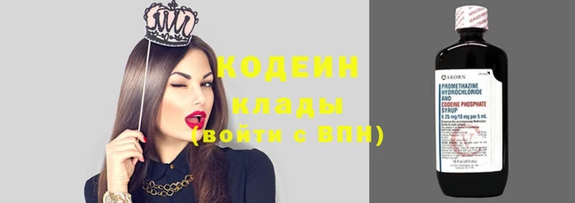 шишки Коряжма
