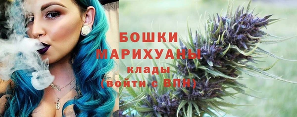ПСИЛОЦИБИНОВЫЕ ГРИБЫ Корсаков