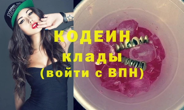 шишки Коряжма