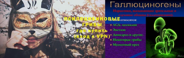 гидра Костерёво