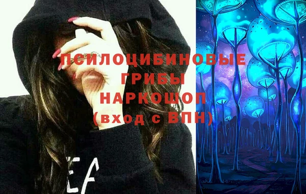 шишки Коряжма
