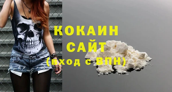ПСИЛОЦИБИНОВЫЕ ГРИБЫ Корсаков