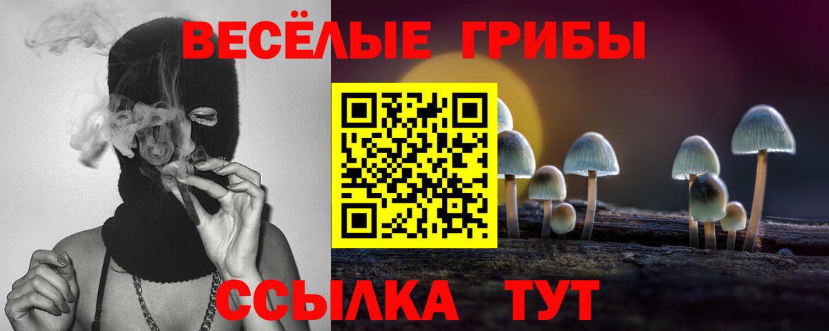 Галлюциногенные грибы GOLDEN TEACHER  Вход с VPN  Спасск-Дальний 