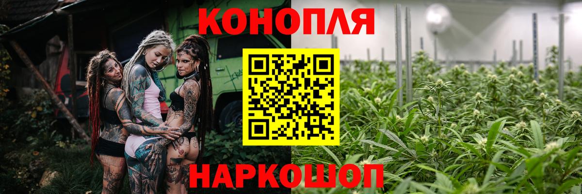 Бошки Шишки семена Спасск-Дальний